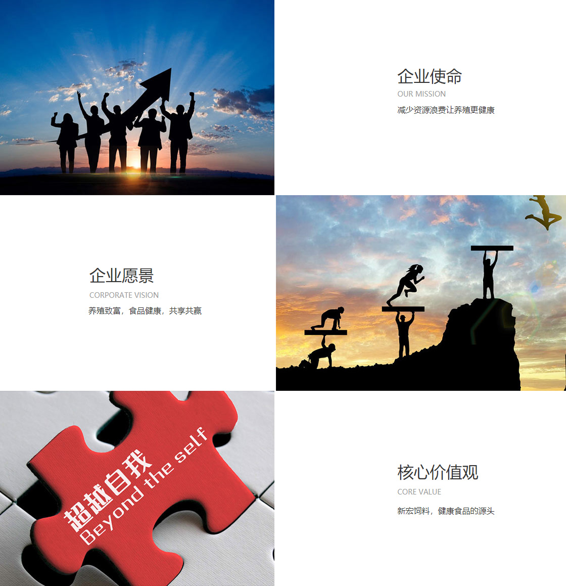 bb贝博艾弗森官方网站(图1)